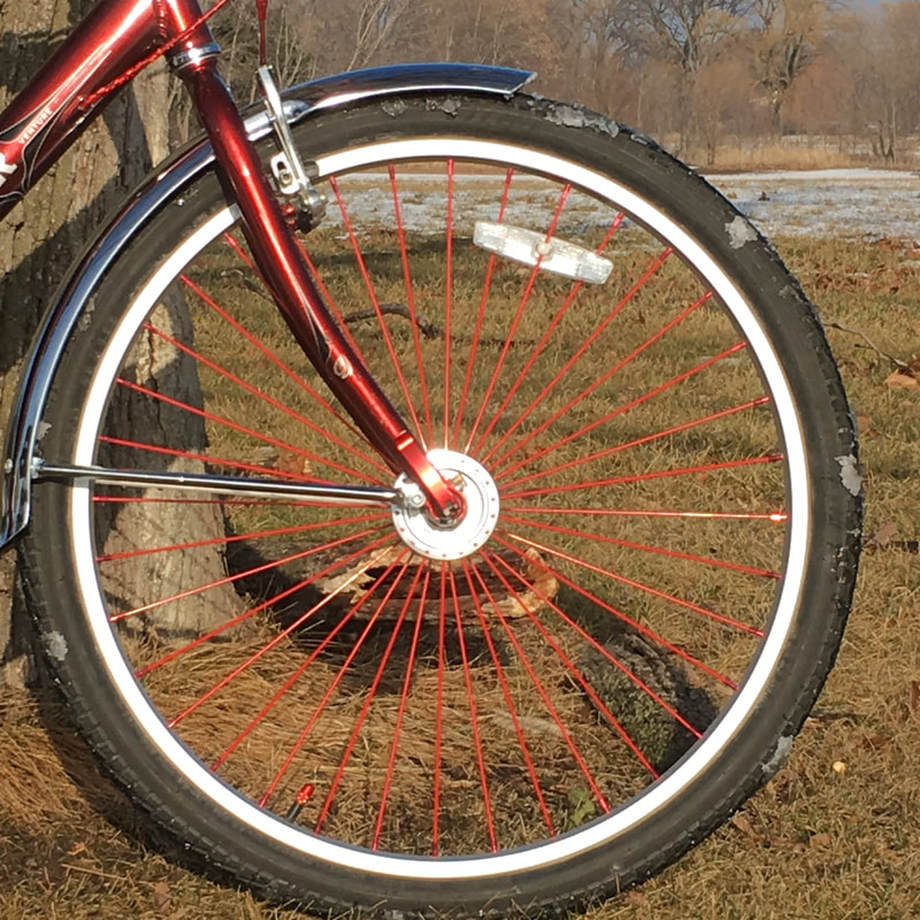 Radial laced bicycle wheel